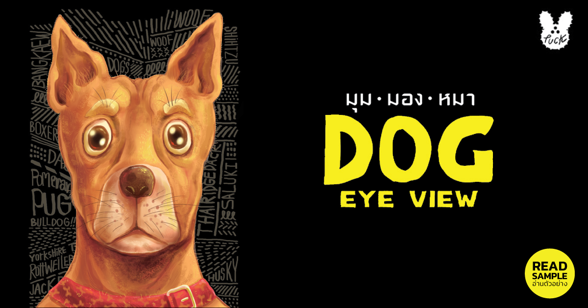 dog's eye view