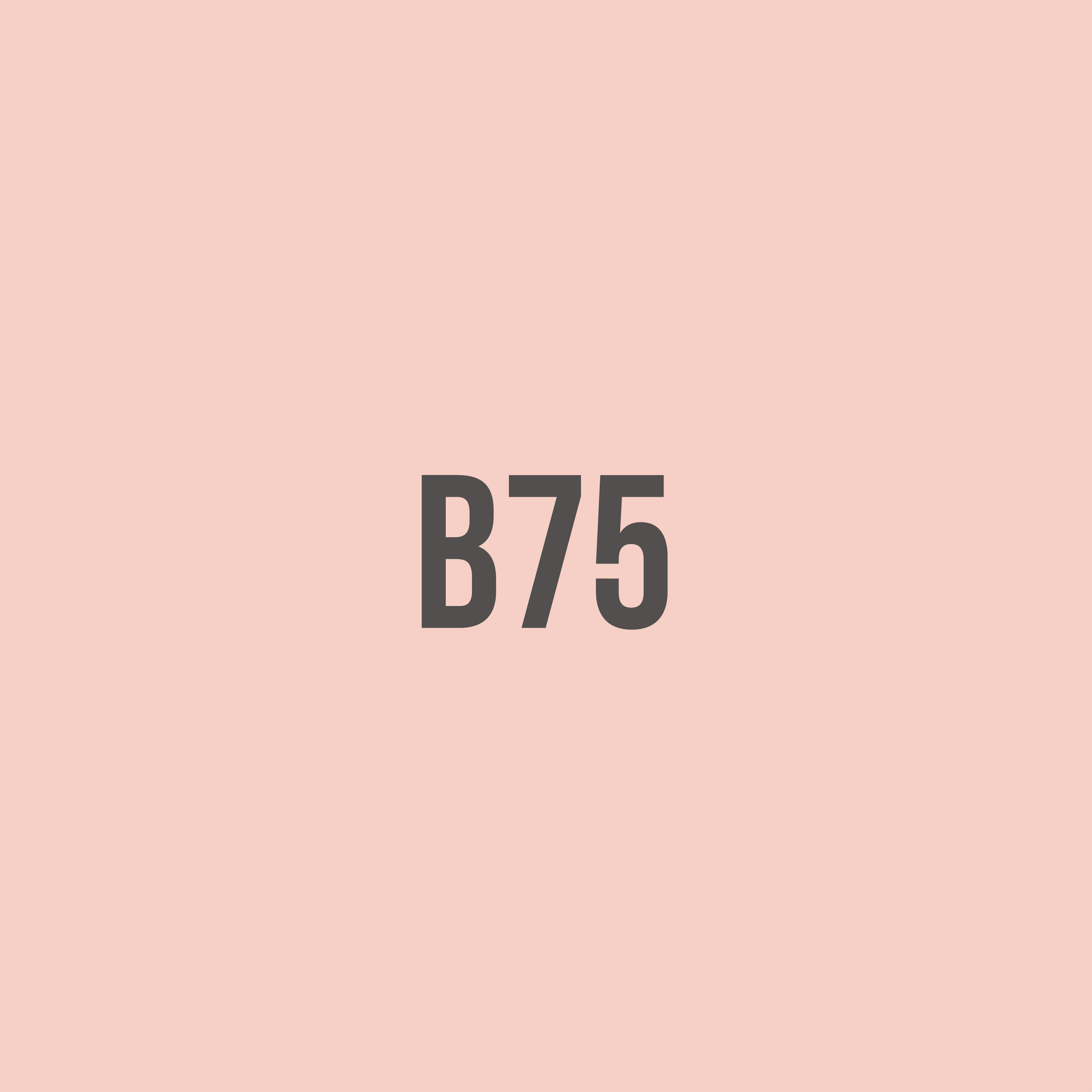 ครั้งหนึ่งของสาว B75 - Minimore