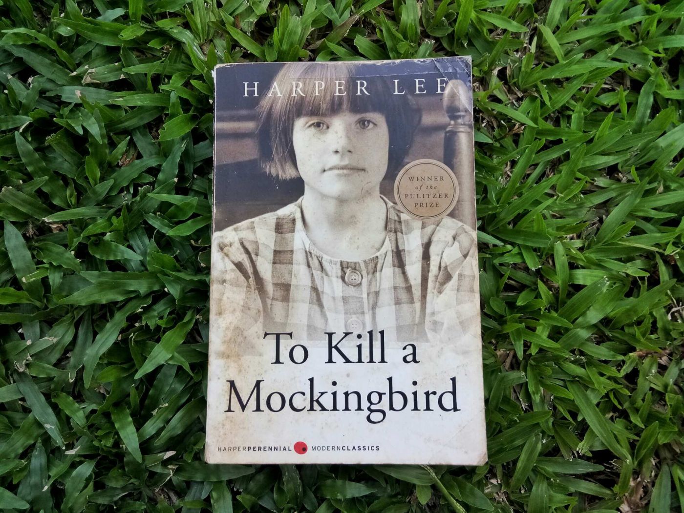 to kill a mockingbird audiobook chapter 23 to kill a mockingbird audiobook chapter 23
