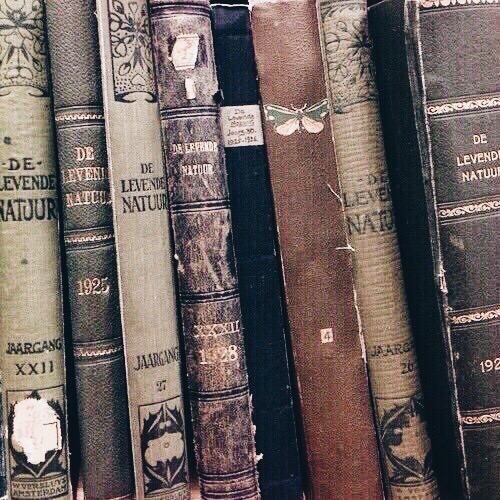 I read you a lot minimore