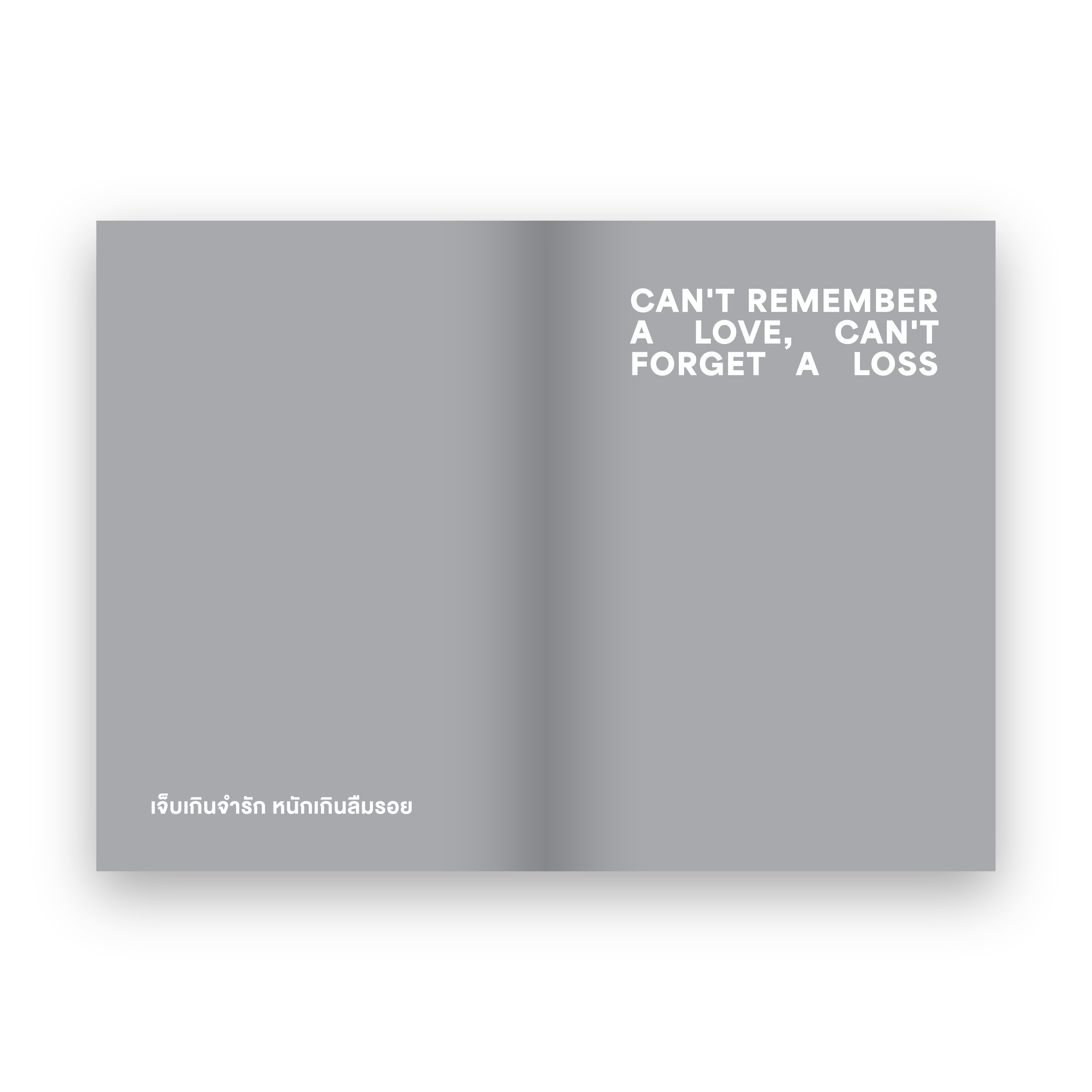 CAN'T REMEMBER A LOVE, CAN'T FORGET A LOSS เจ็บเกินจำรัก หนักเกินลืมรอย