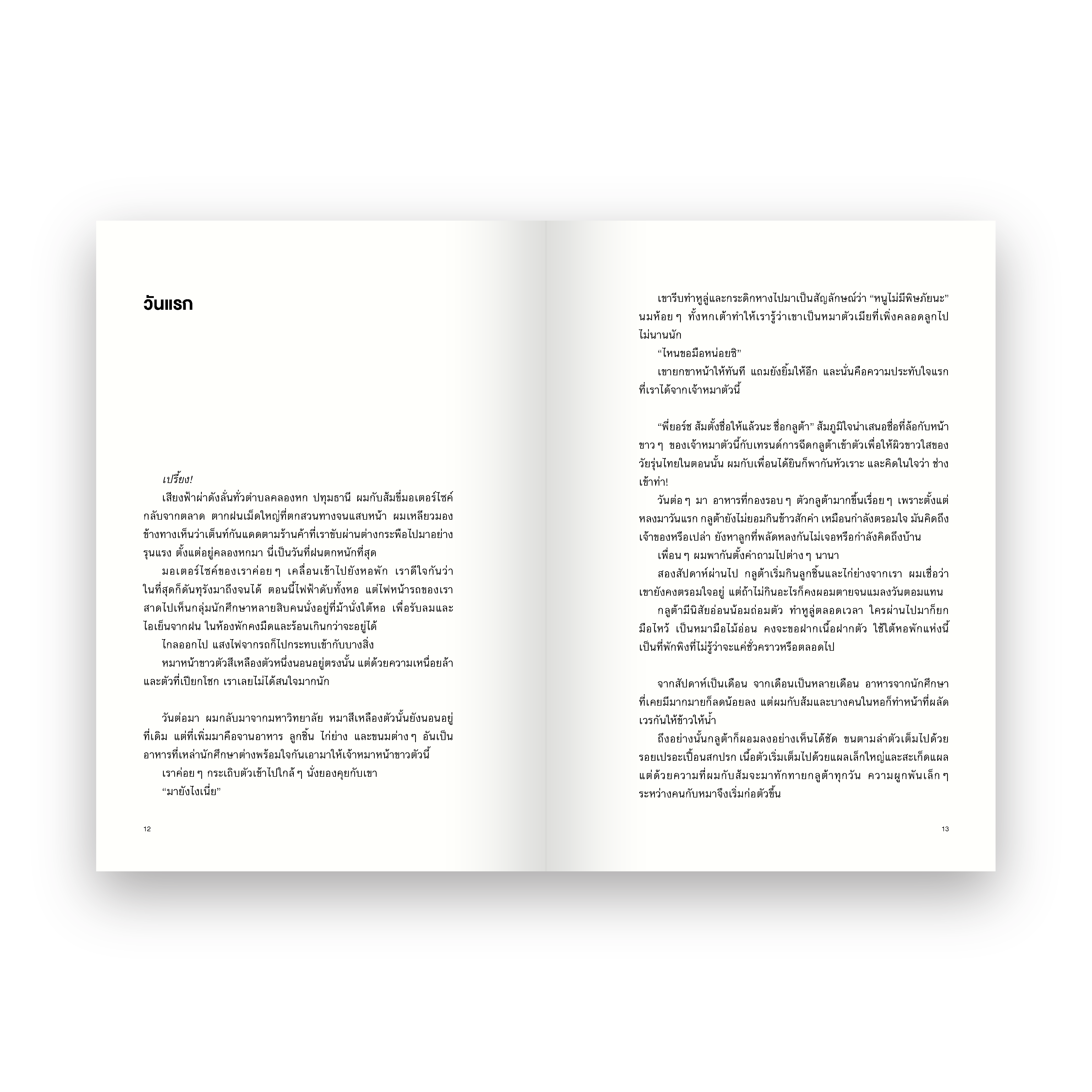 GLUTA STORY เรื่องเล่าหลังฝนซาของหมาหลงทาง (10th ANNIVERSARY EDITION)