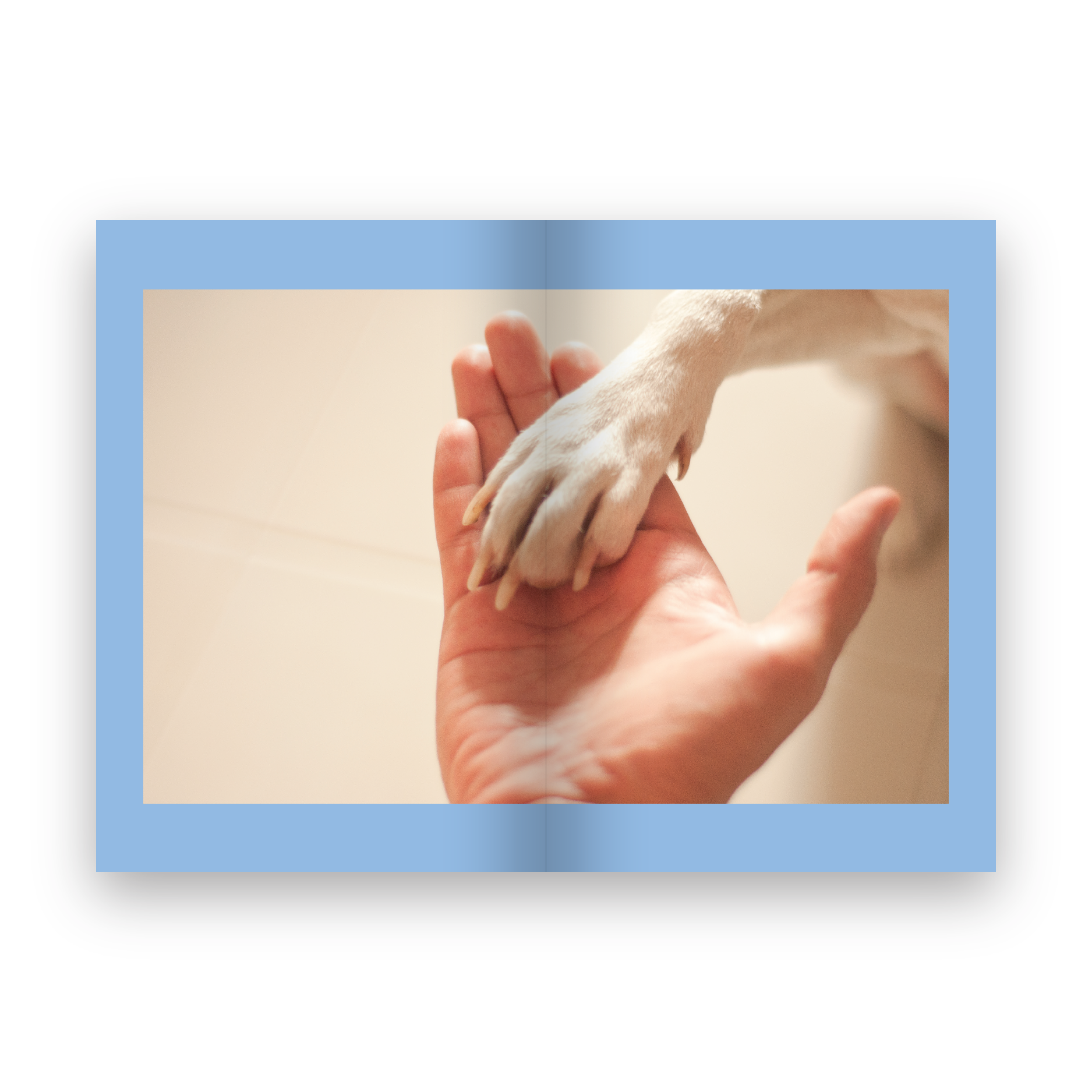 GLUTA STORY เรื่องเล่าหลังฝนซาของหมาหลงทาง (10th ANNIVERSARY EDITION)