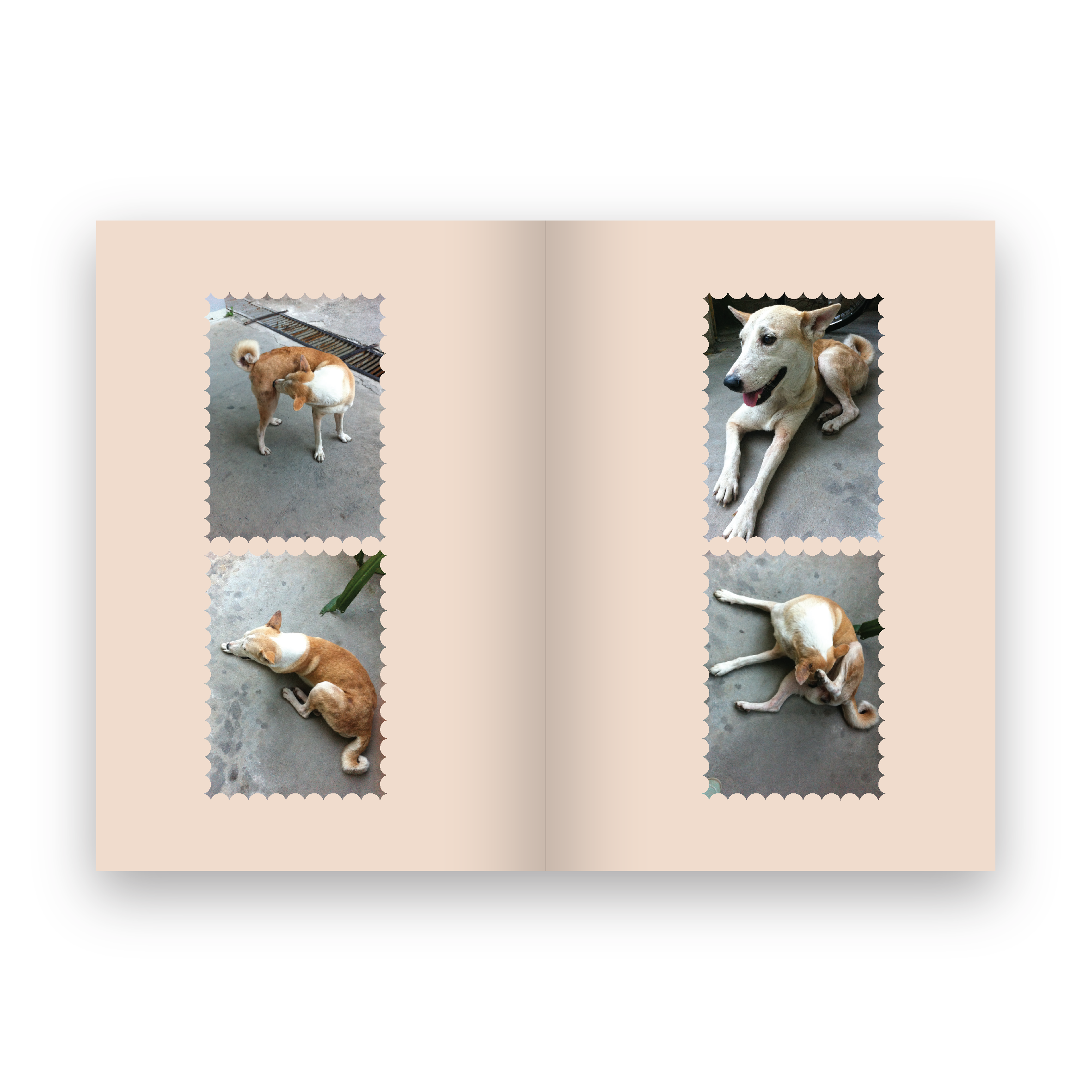 GLUTA STORY เรื่องเล่าหลังฝนซาของหมาหลงทาง (10th ANNIVERSARY EDITION)