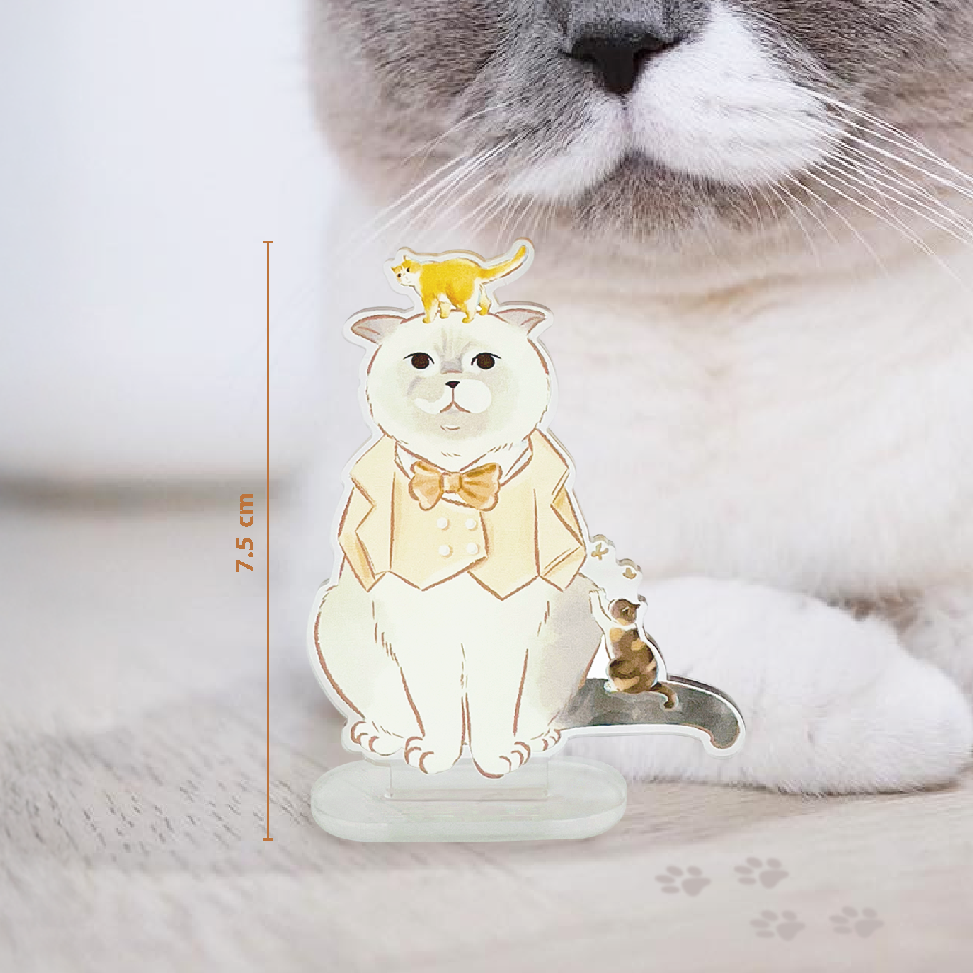 Standee : ท้องฟ้าอันอบอุ่นของ ชิเอลแมวมึน