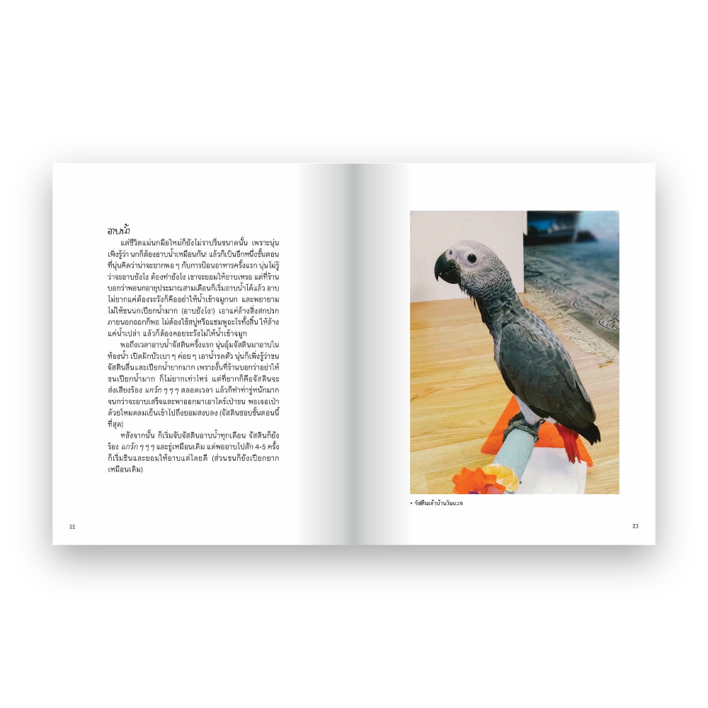 เมื่อนกของฉันเป็นซุป’ตาร์ (Justin Family: Just in Family)