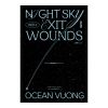 NIGHT SKY WITH EXIT WOUNDS คืนที่แผลส่องแสงเป็นประกาย