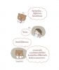 My Dear Kuma ฉบับ Home Sweet Home