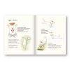SET Gluta Story the comic