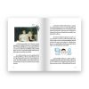 Bangkokboy Story by Oppa Hong