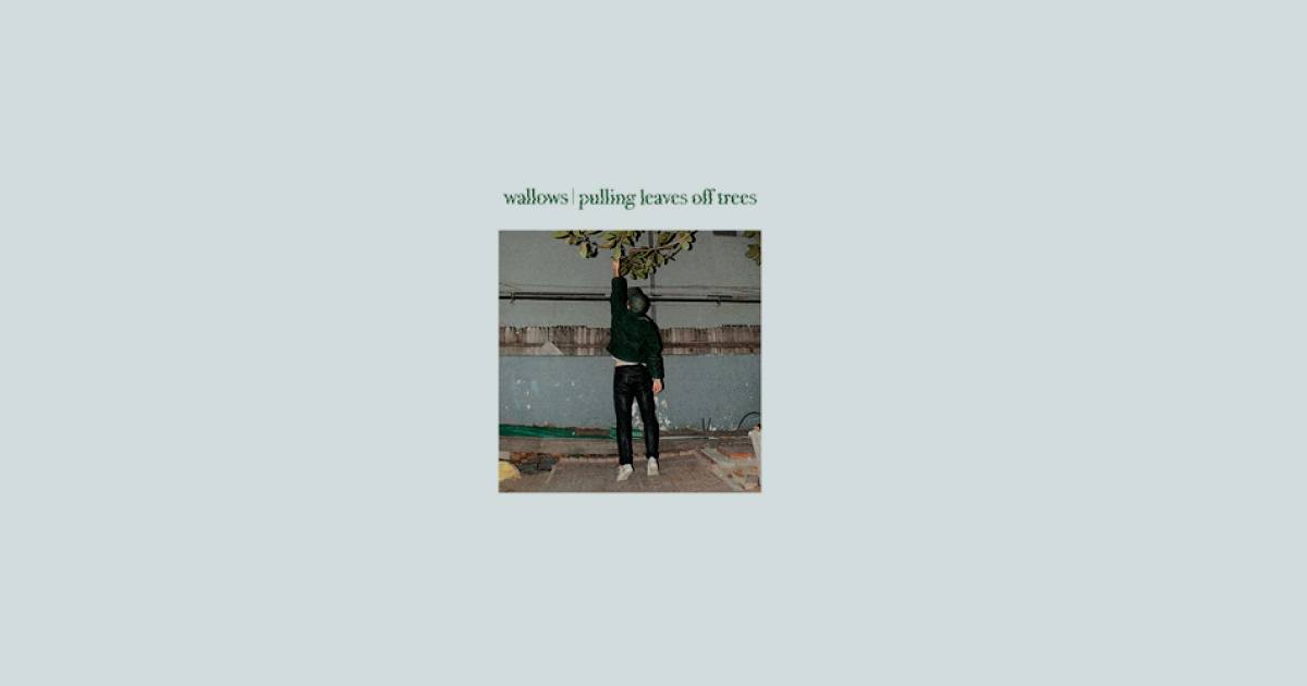 แปลเพลง WALLOWS Pulling Leaves off Trees a mixtape for a friend