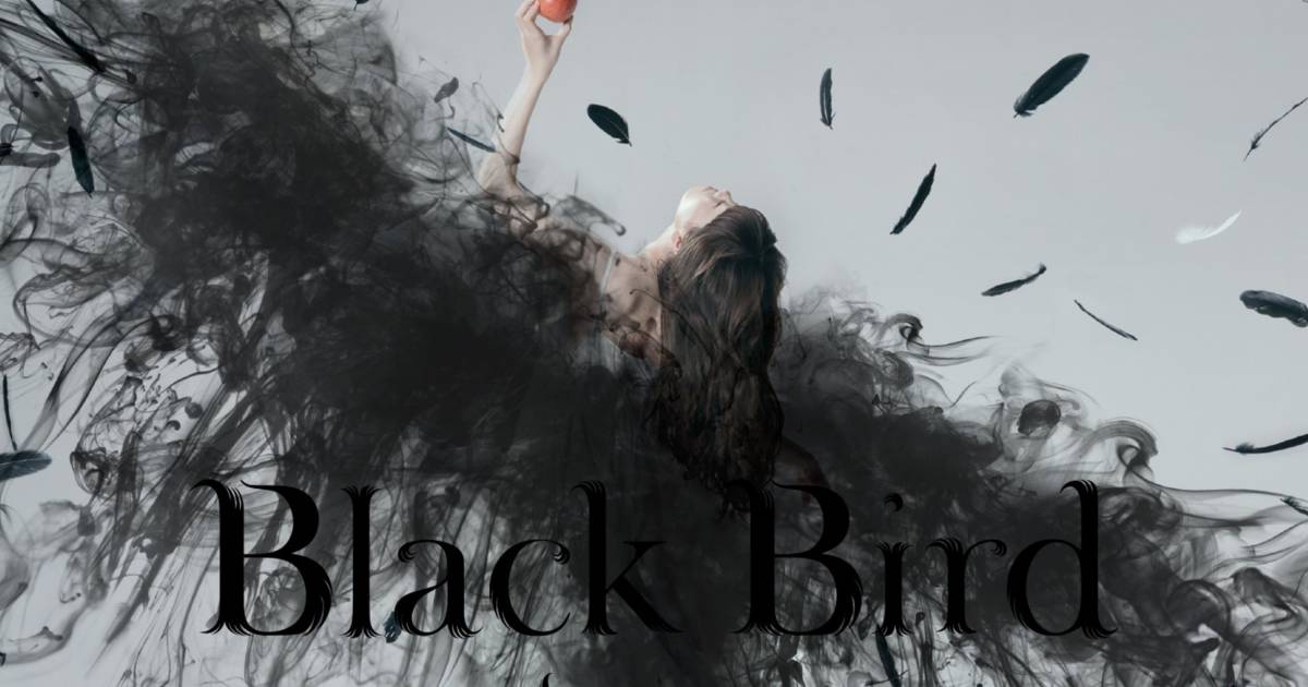 Everybody never. Aimer Black Bird. Aimer Black Bird / tiny Dancers / Omoide WA Kirei de. Aimer Black Bird перевод. Aimer Wonderland песня.