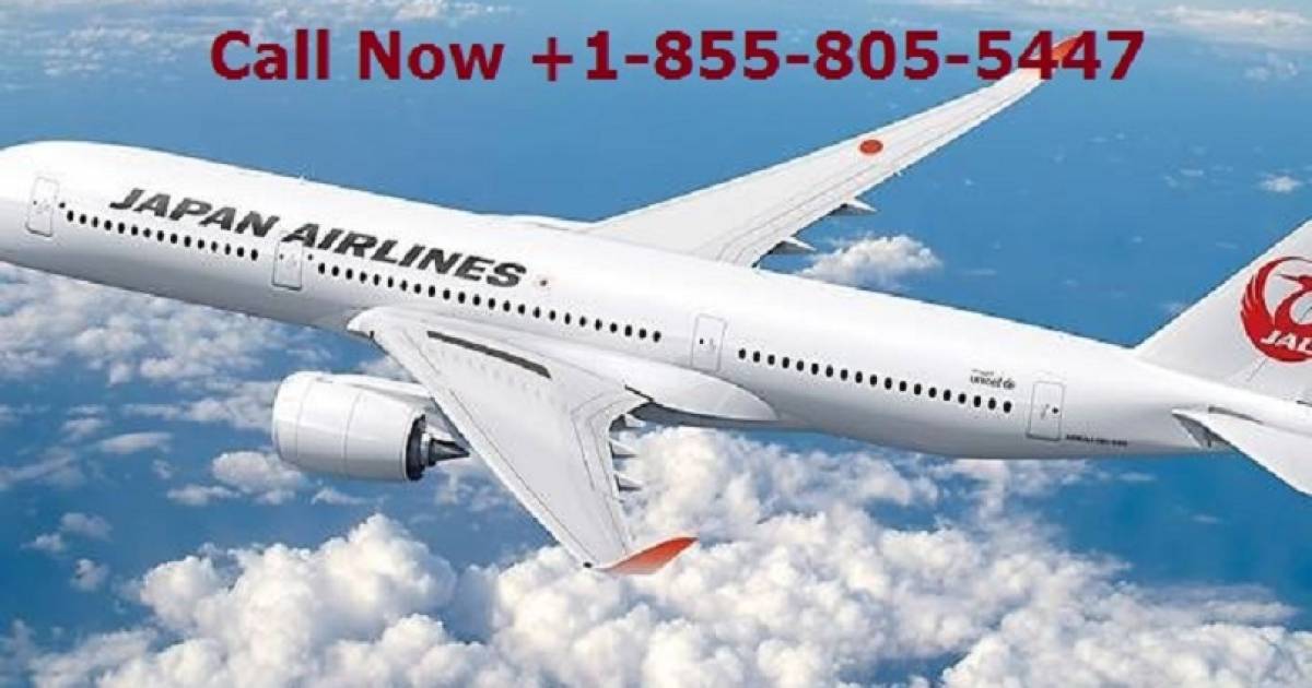 japan-airlines-booking-number-my-first-story-minimore